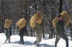توزیع علوفه برای حیوانات منطقه حفاظت‌شده ملوسان نهاوند