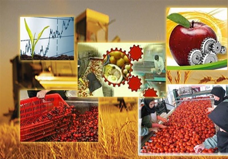 کمبود صنایع تبدیلی و سردخانه مهمترین مشکل بخش کشاورزی نهاوند