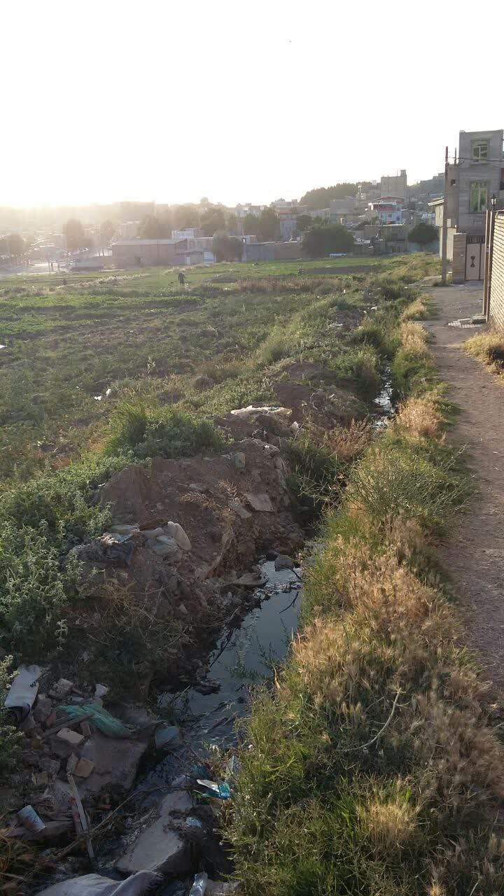 گلایه شهروندان در خصوص بی توجهی شهرداری به وضعیت نامطلوب بهداشتی در یکی از مناطق نهاوند+ تصاویر