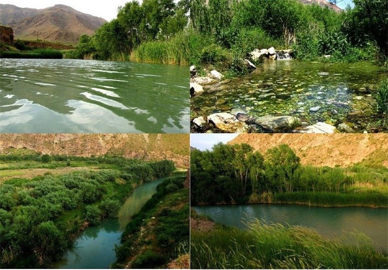 افزایش ۳۰ درصدی جمعیت قوچ‌ها در منطقه حفاظت‌شده ملوسان نهاوند/ وجود ۲۵۳ گونه جانوری در منطقه
