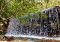 نهاوند؛ در مسیر تبدیل به قطب آبزیپروری غیرساحلی شیلات نهاوند؛ در مسیر تبدیل به قطب آبزیپروری غیرساحلی شیلات