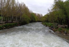 طبیعت بکر اردیبهشت نهاوند+تصاویر