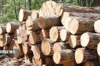 کشف بیش از ۸۶ تن چوب در نهاوند