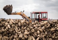 سرمایه‌گذاری هدفمند؛ کلید توسعه پایدار کشاورزی نهاوند