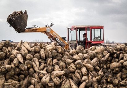 سرمایه‌گذاری هدفمند؛ کلید توسعه پایدار کشاورزی نهاوند