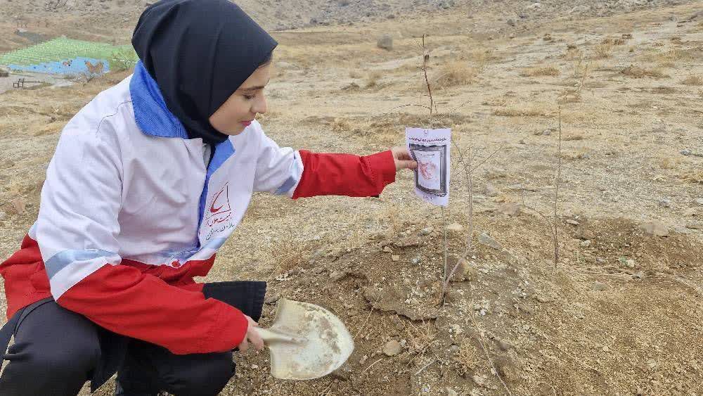 کاشت ۴۰۰ اصله نهال در نهاوند+تصاویر