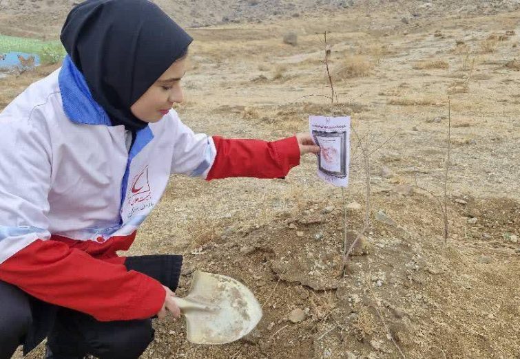 کاشت ۴۰۰ اصله نهال در نهاوند+تصاویر